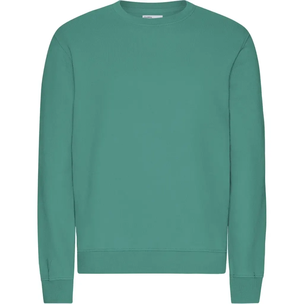 Pull Colorful Standard Classic Organic Pine Green