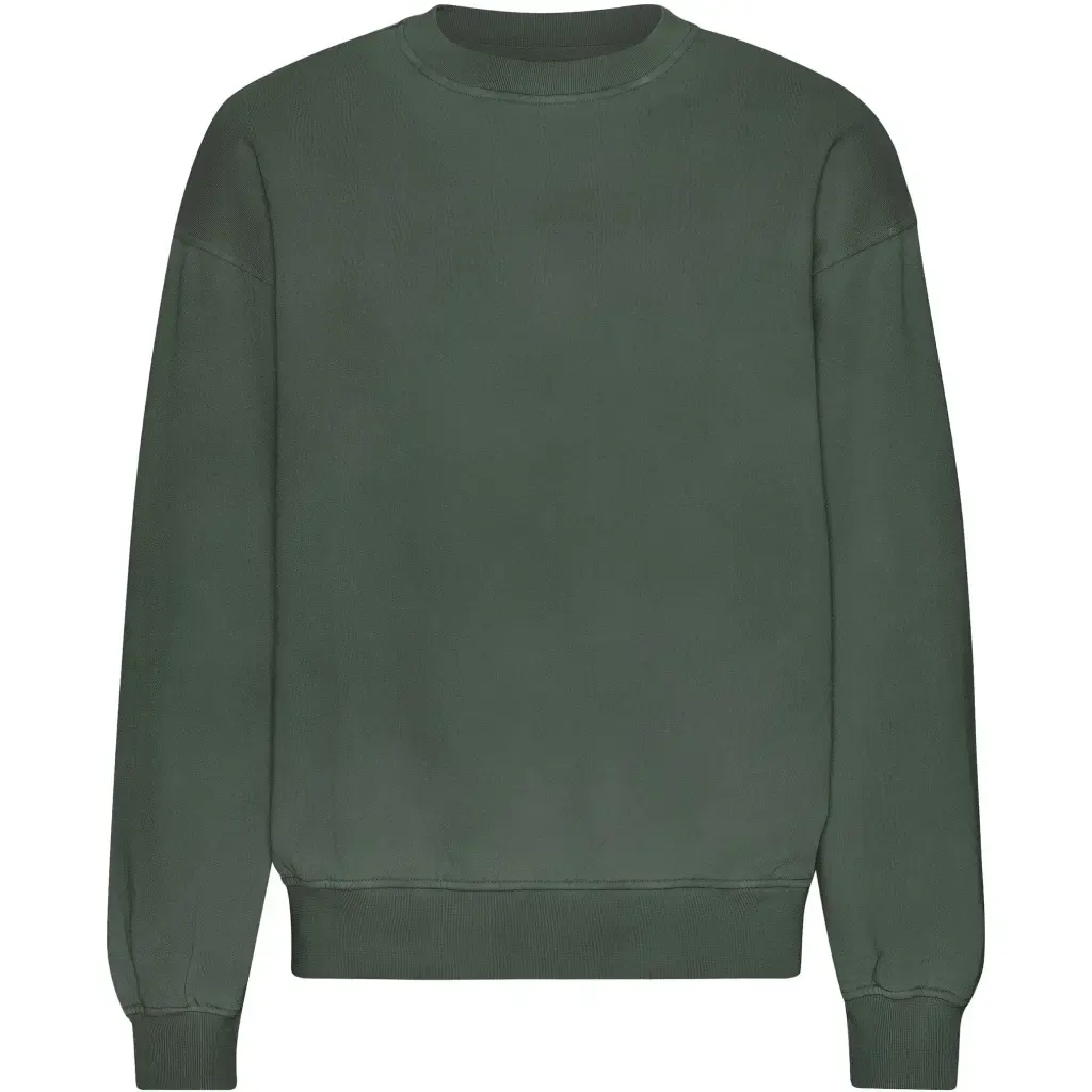 Sweatshirt col rond oversize Colorful Standard Organic Midnight Forest