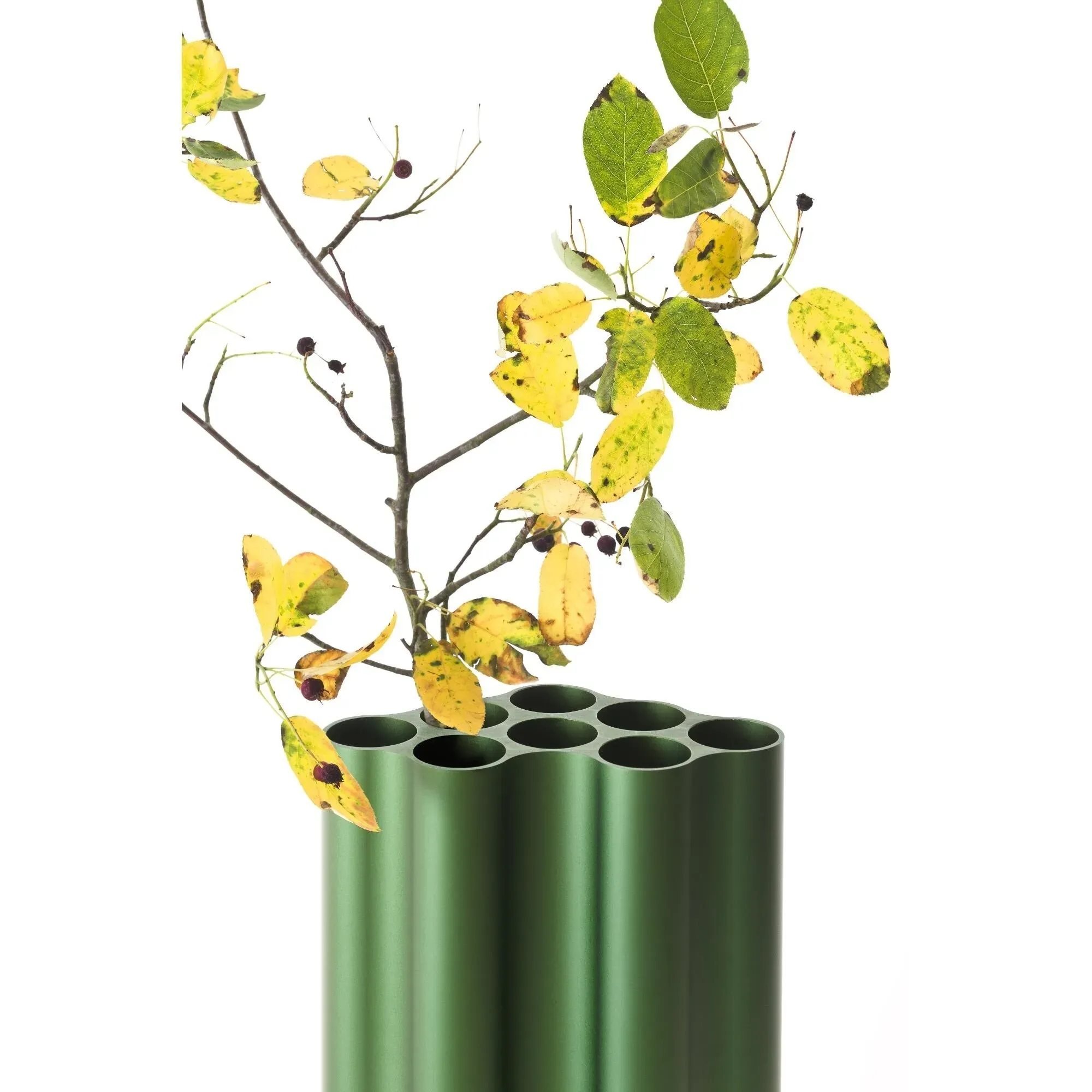 Illustration numéro 2 du produit Vitra Vases Nuage - lierre - L