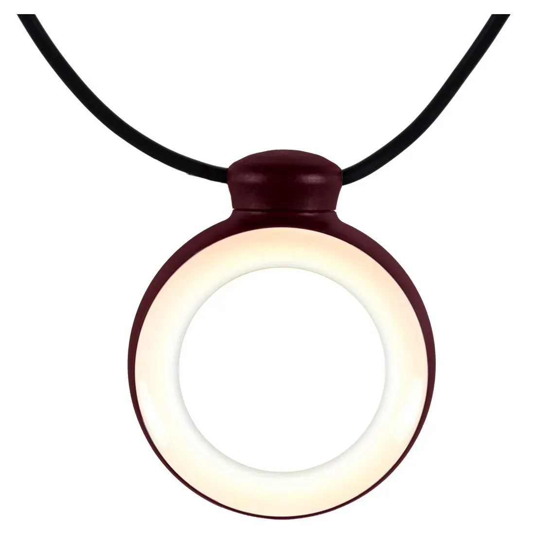 Illustration numéro 2 du produit Fermob Guirlande lumineuse Hoop - B9 cerise noire