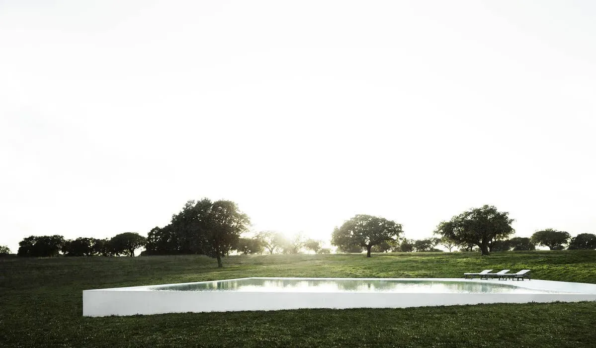 Illustration numéro 2 du produit B&B Italia Bain de soleil Gio - natural teakwood