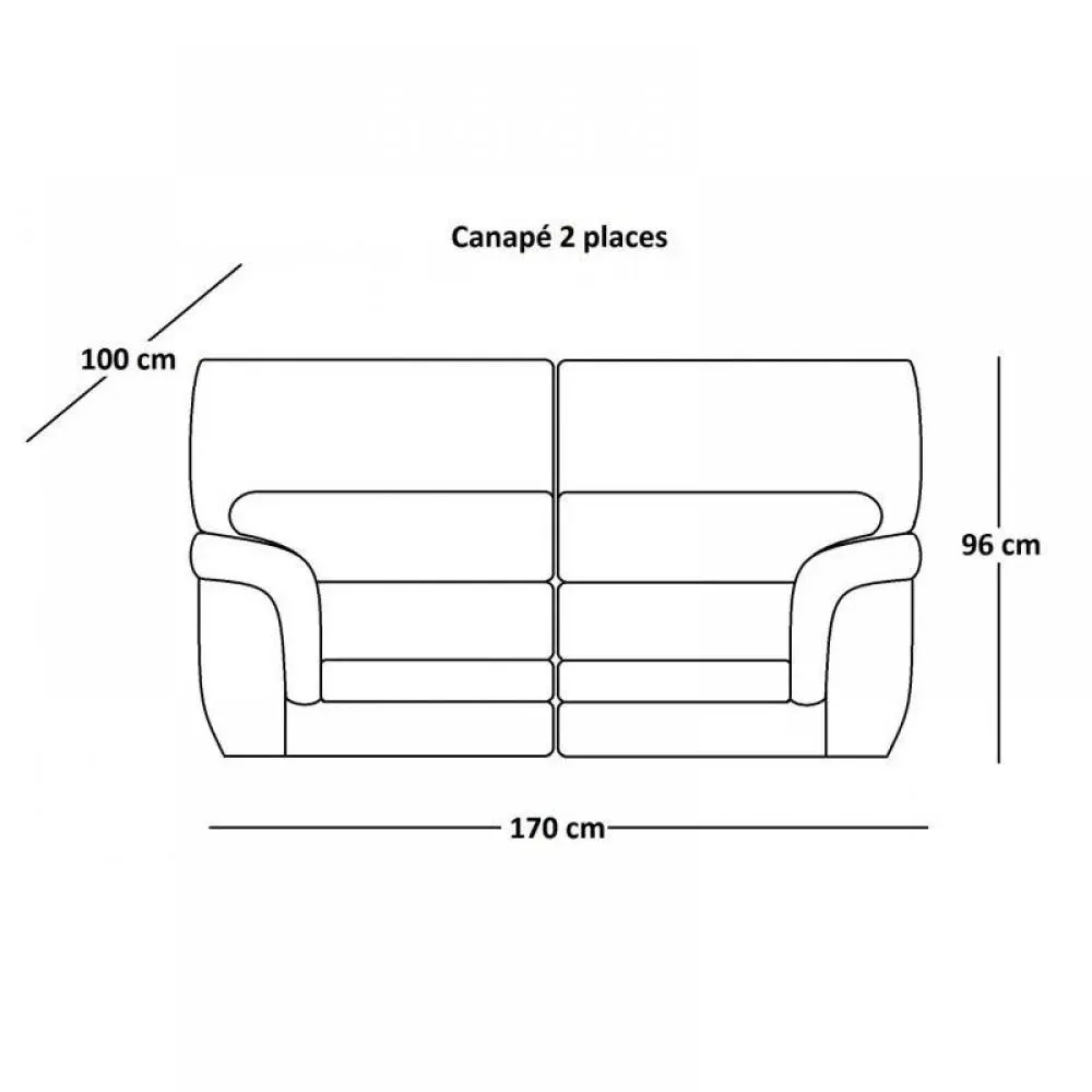Illustration numéro 2 du produit CLOE canapé fixe  cuir vachette 2 places gris foncé