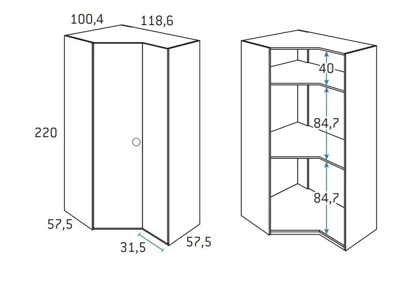 Illustration numéro 2 du produit Armoire d'angle pan-coupé droite 2 portes 118,6 x 220 cm finition chêne blanchis intérieur double