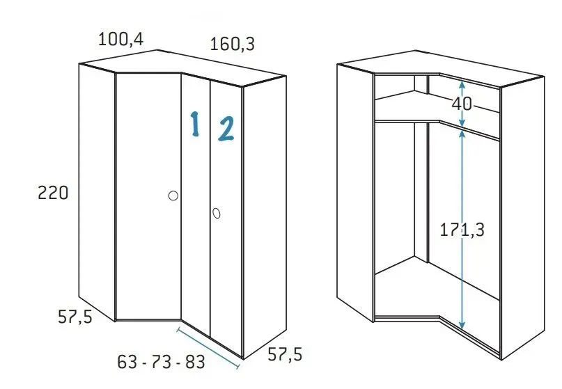 Illustration numéro 2 du produit Armoire d'angle pan-coupé 2 portes 160,3 x 220 cm finition chêne blanchis porte droite pliante 1 étagère