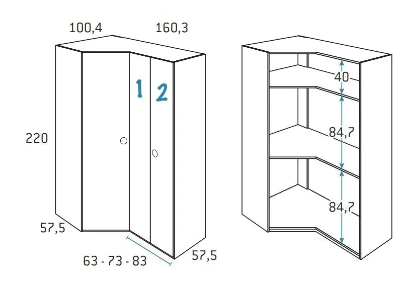 Illustration numéro 2 du produit Armoire d'angle pan-coupé 2 portes 160,3 x 220 cm finition chêne blanchis porte droite pliante intérieur double