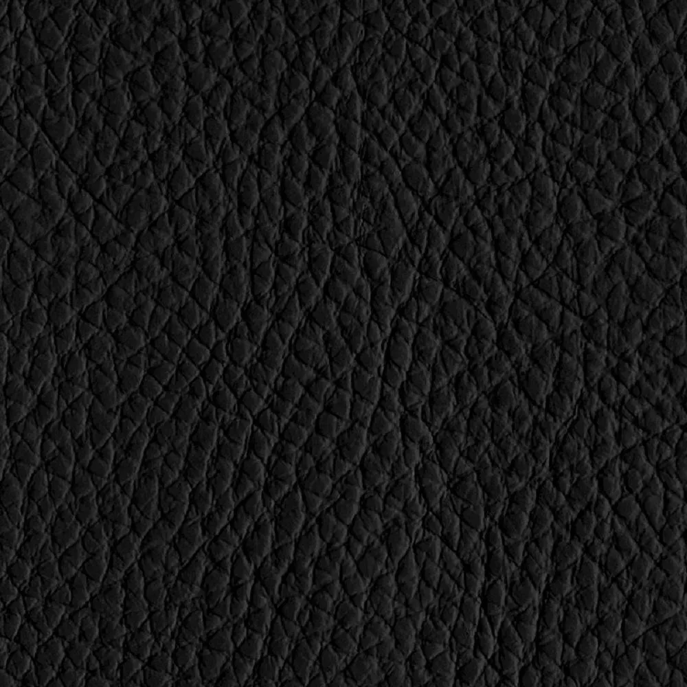 Illustration numéro 2 du produit Canapé fixe DREAMER 2 places 175 cm cuir regent noir