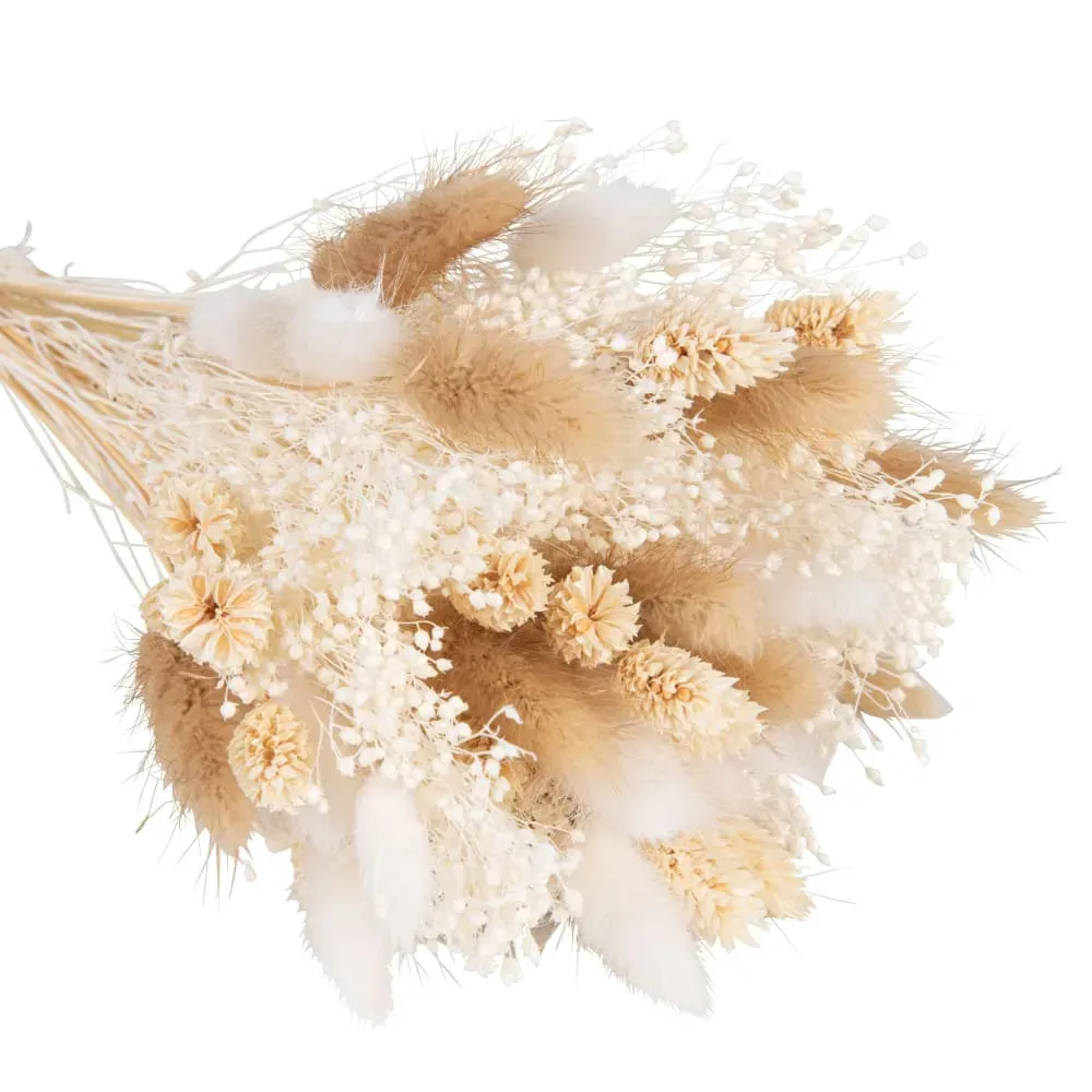 Illustration numéro 2 du produit Bouquet de fleurs séchées écrues