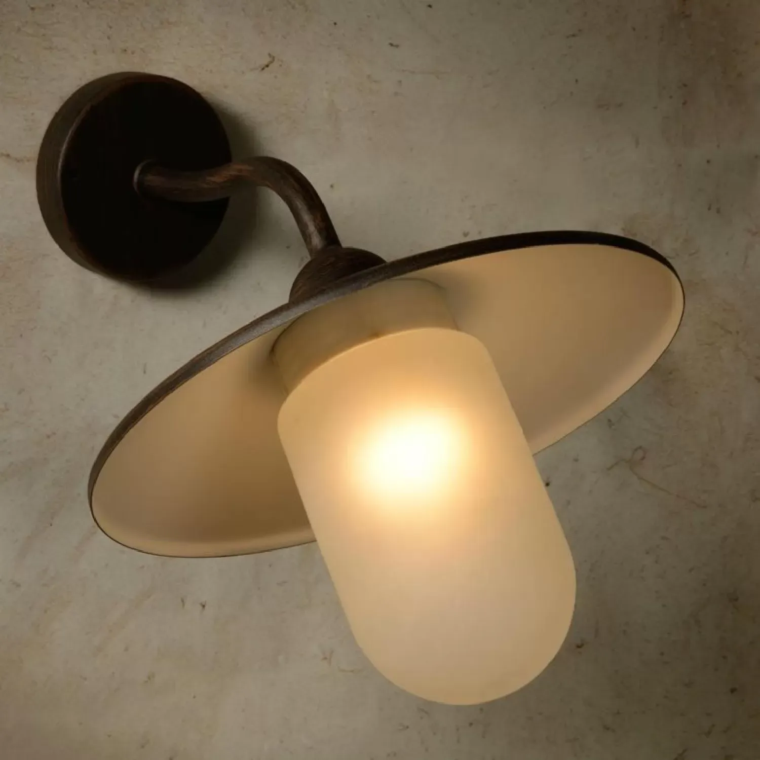 Illustration numéro 2 du produit Applique d'extérieur col de cygne métal et verre sablé H24cm