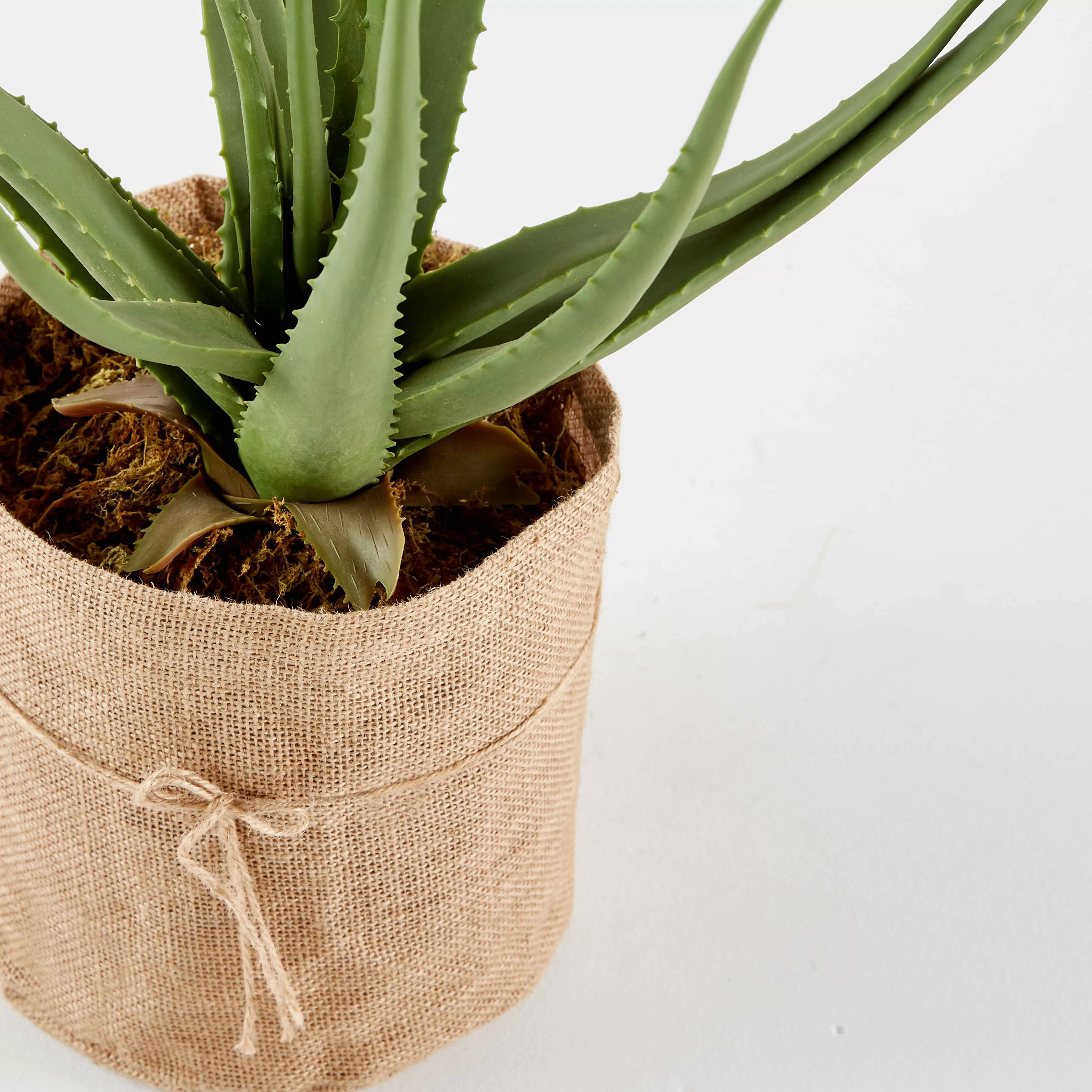 Illustration numéro 2 du produit Plante artificielle avec pot Aloe Vera, hauteur 43 cm vert