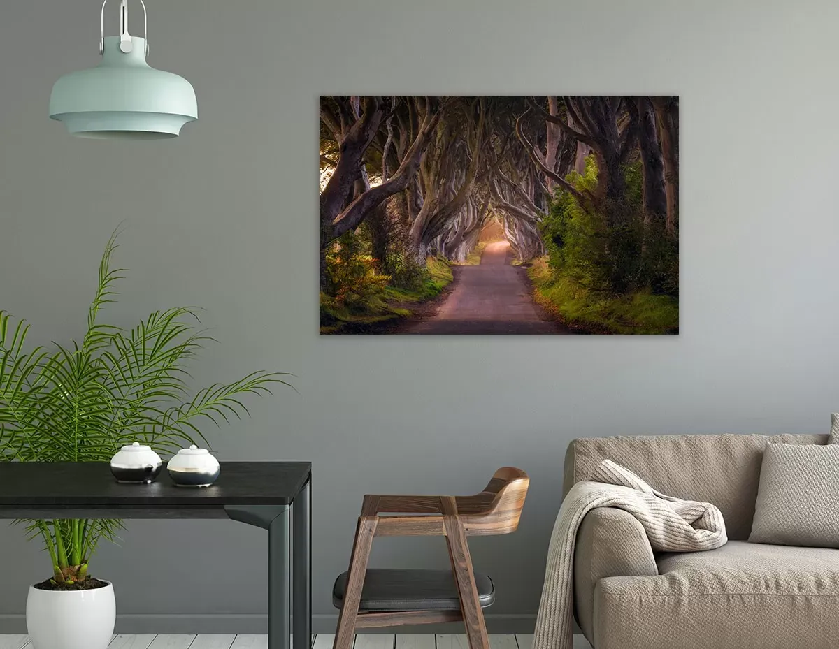 Illustration numéro 2 du produit Tableau nature arbres enchanteurs toile imprimée 120x80 cm