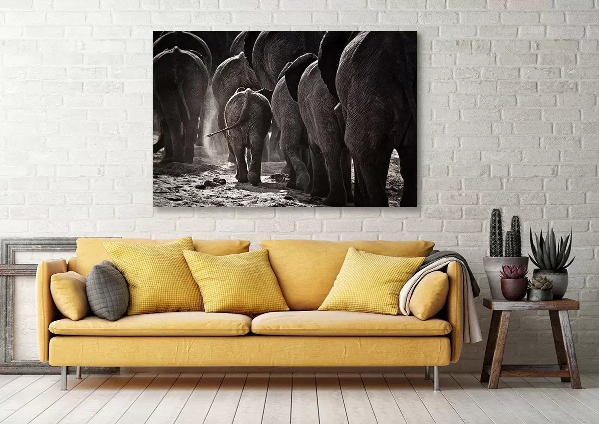 Illustration numéro 2 du produit Tableau animaux cap Afrique toile imprimée 120x80 cm