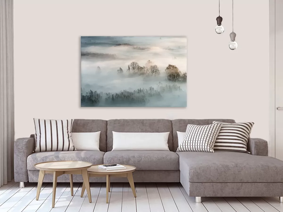 Illustration numéro 2 du produit Tableau brouillard hivernal impression sur aluminium 60x40 cm