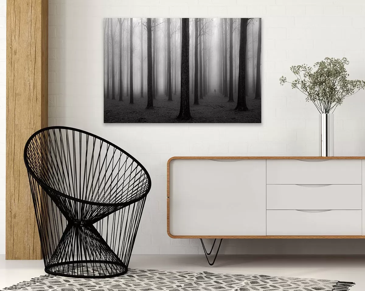 Illustration numéro 2 du produit Tableau nature foggy weather imprimé sur toile 45x30 cm