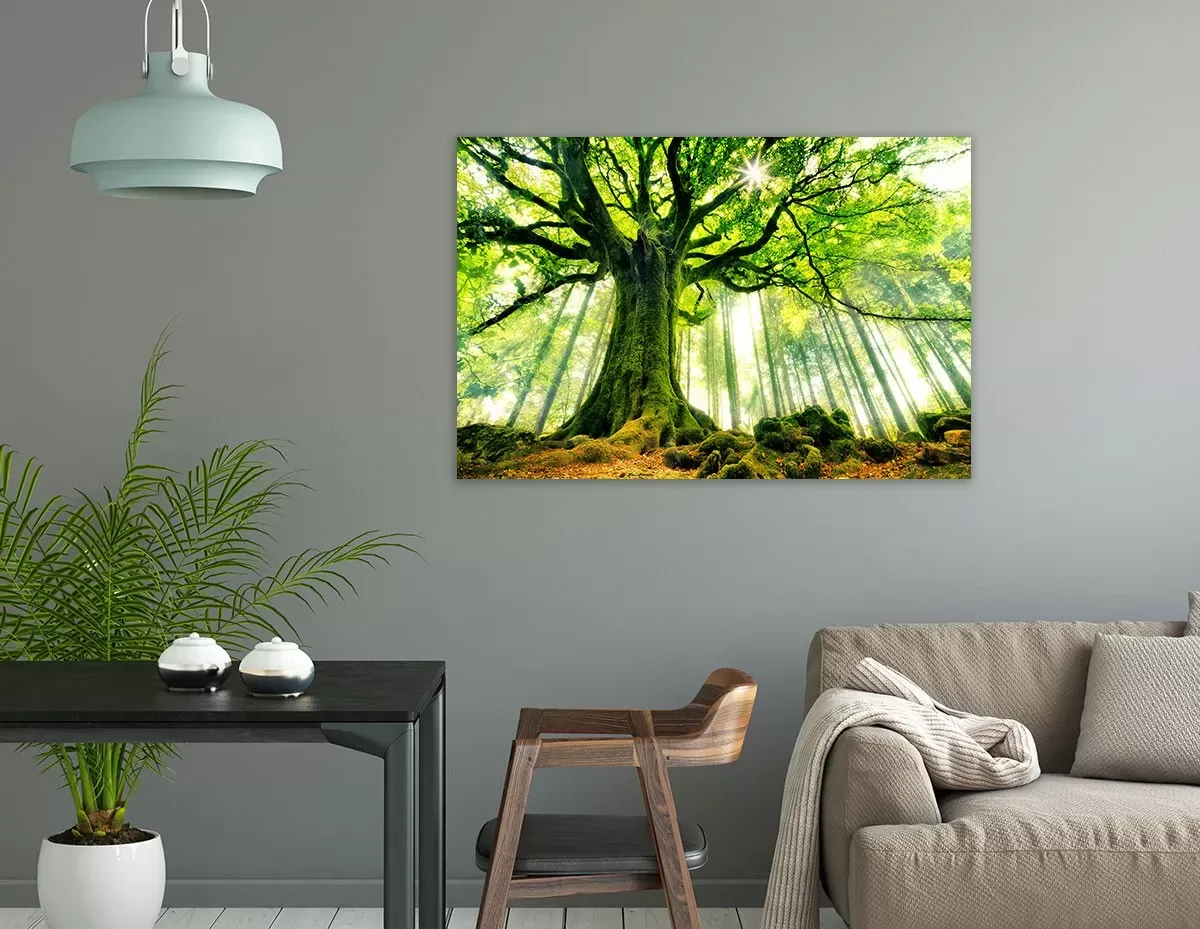 Illustration numéro 2 du produit Tableau nature l 'hêtre de ponthus imprimé sur toile 60x40 cm