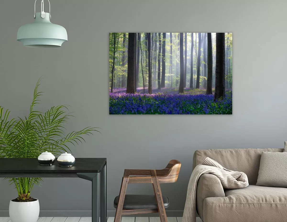 Illustration numéro 2 du produit Tableau nature jacinthes et sous-bois toile imprimée 120x80 cm