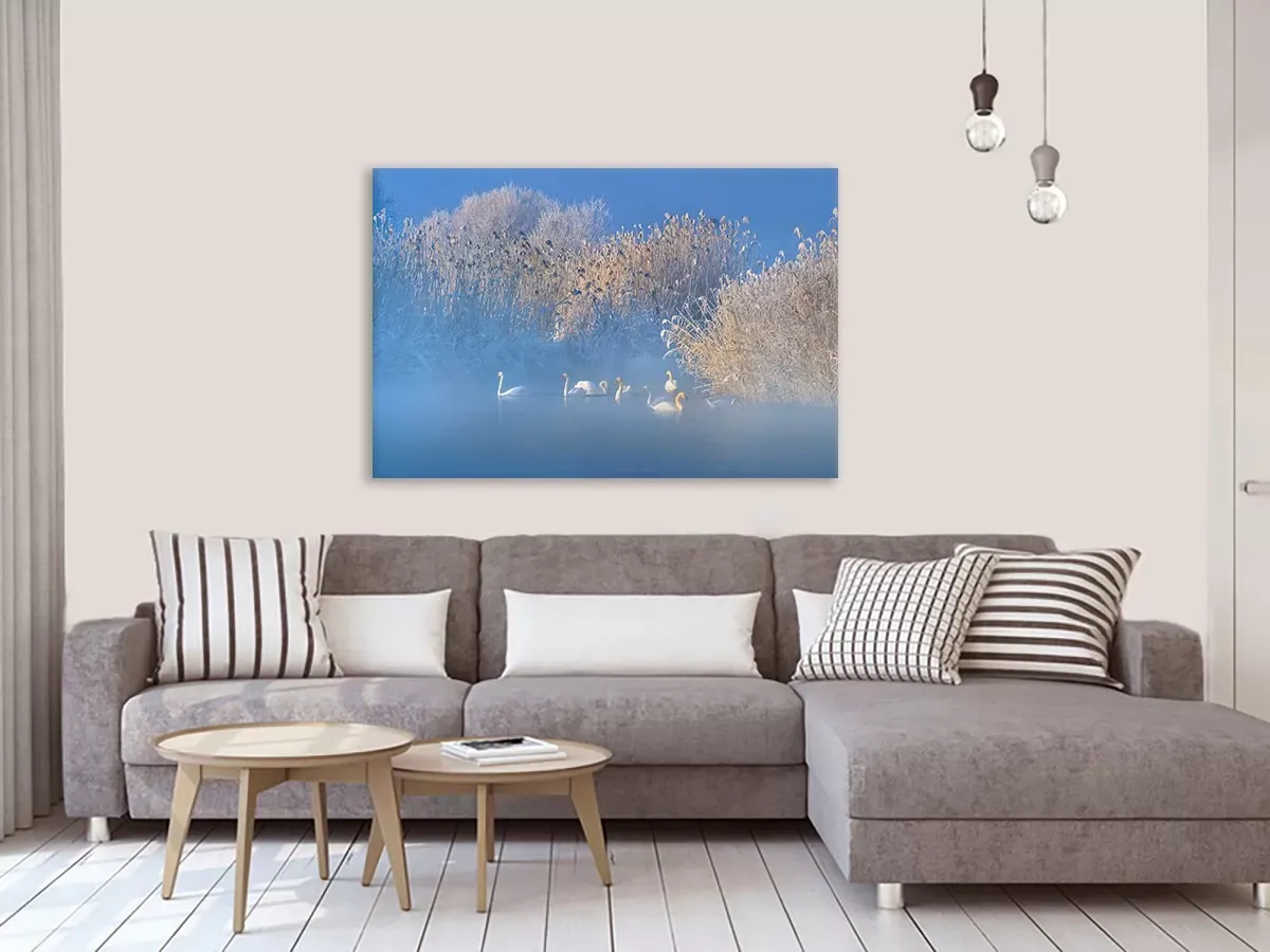 Illustration numéro 2 du produit Tableau cygnes dans le givre matinal imprimé sur toile 60x40 cm