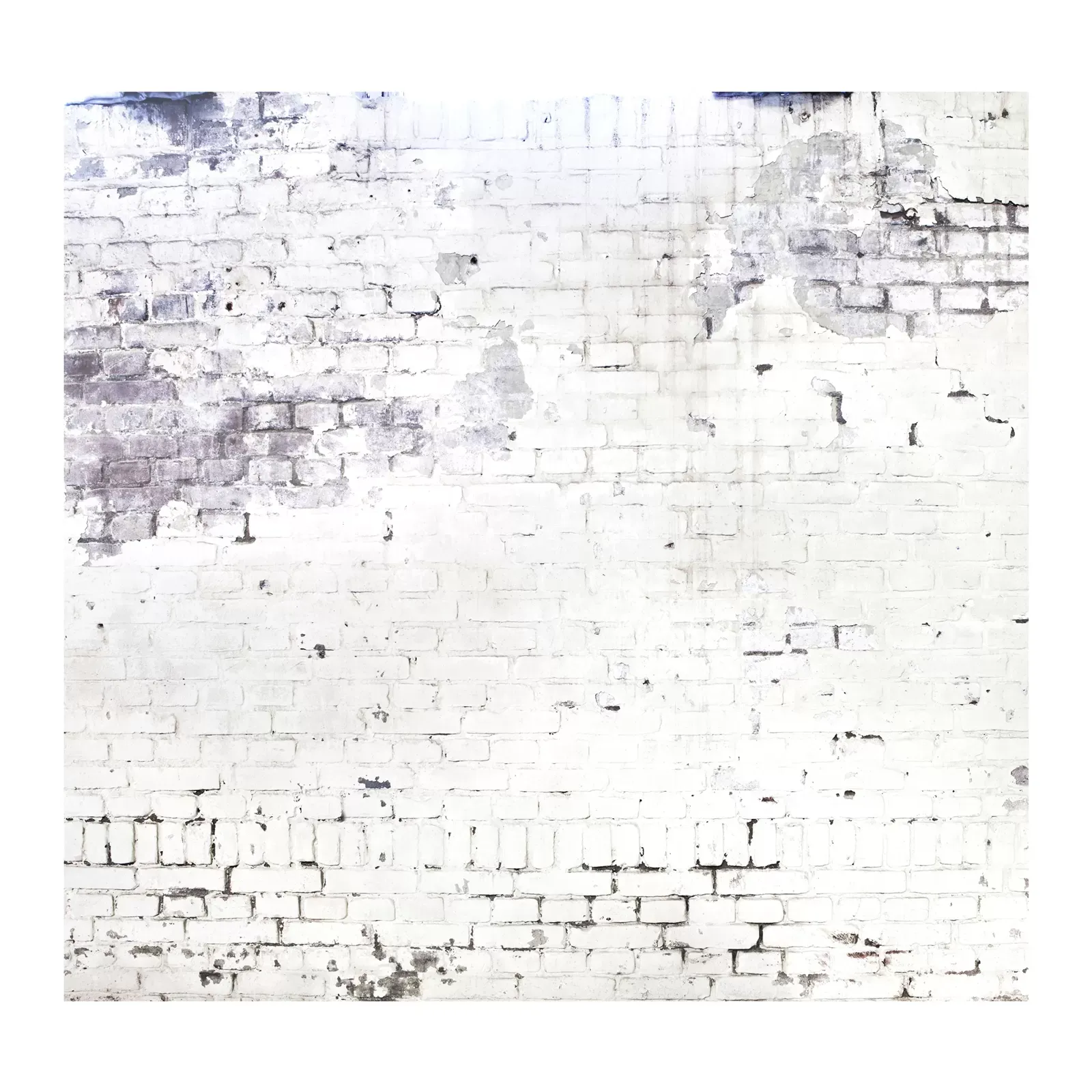 Illustration numéro 2 du produit Papier peint panoramique intissé mur briques loft blanc 300x300cm