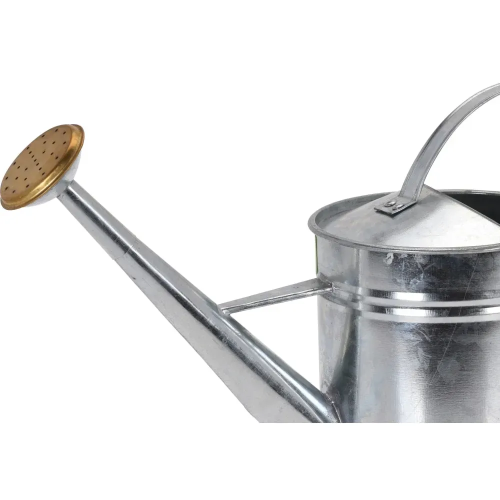 Illustration numéro 2 du produit Arrosoir en zinc 1900ml