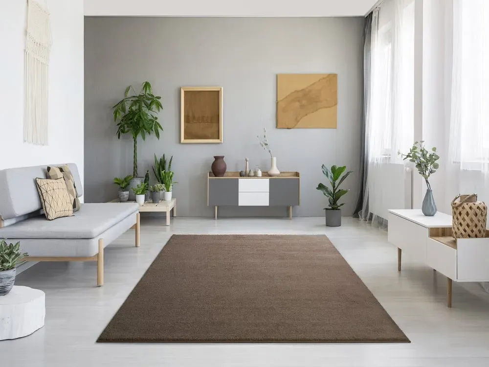 Illustration numéro 2 du produit Tapis uni beige  80x150 cm