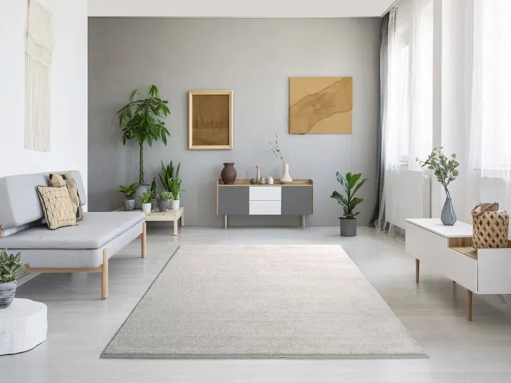 Illustration numéro 2 du produit Tapis uni blanc  200x290 cm