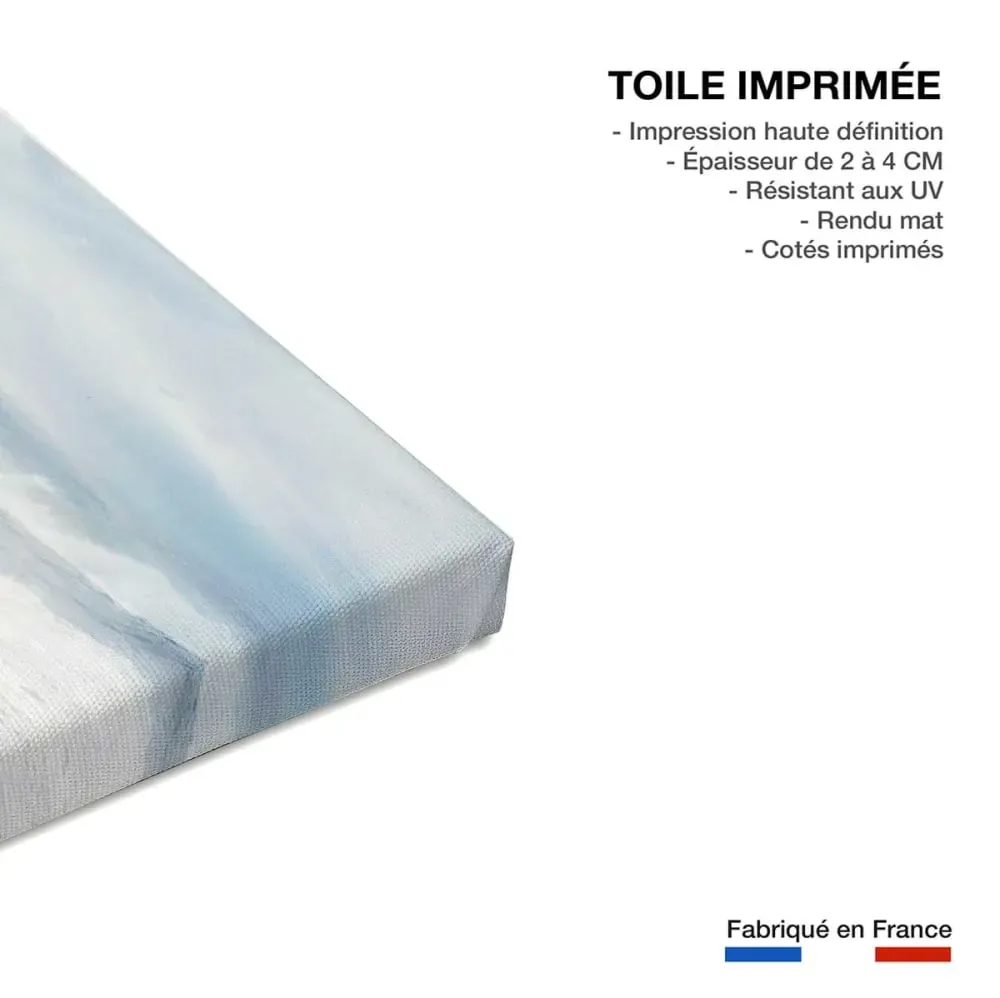 Illustration numéro 2 du produit Tableau cheval mouvement du cheval  imprimé sur toile 90x60 cm