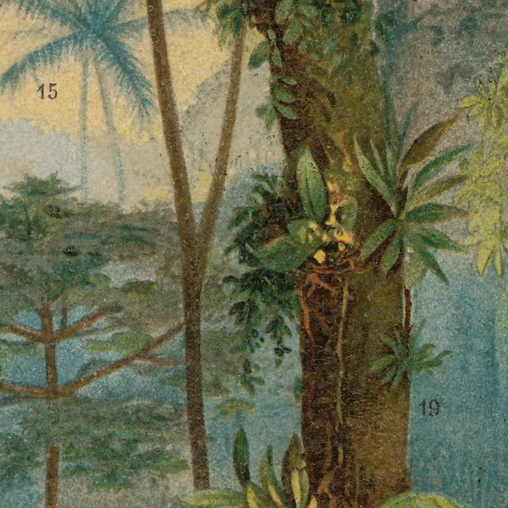 Illustration numéro 2 du produit Papier peint panoramique Mauritia