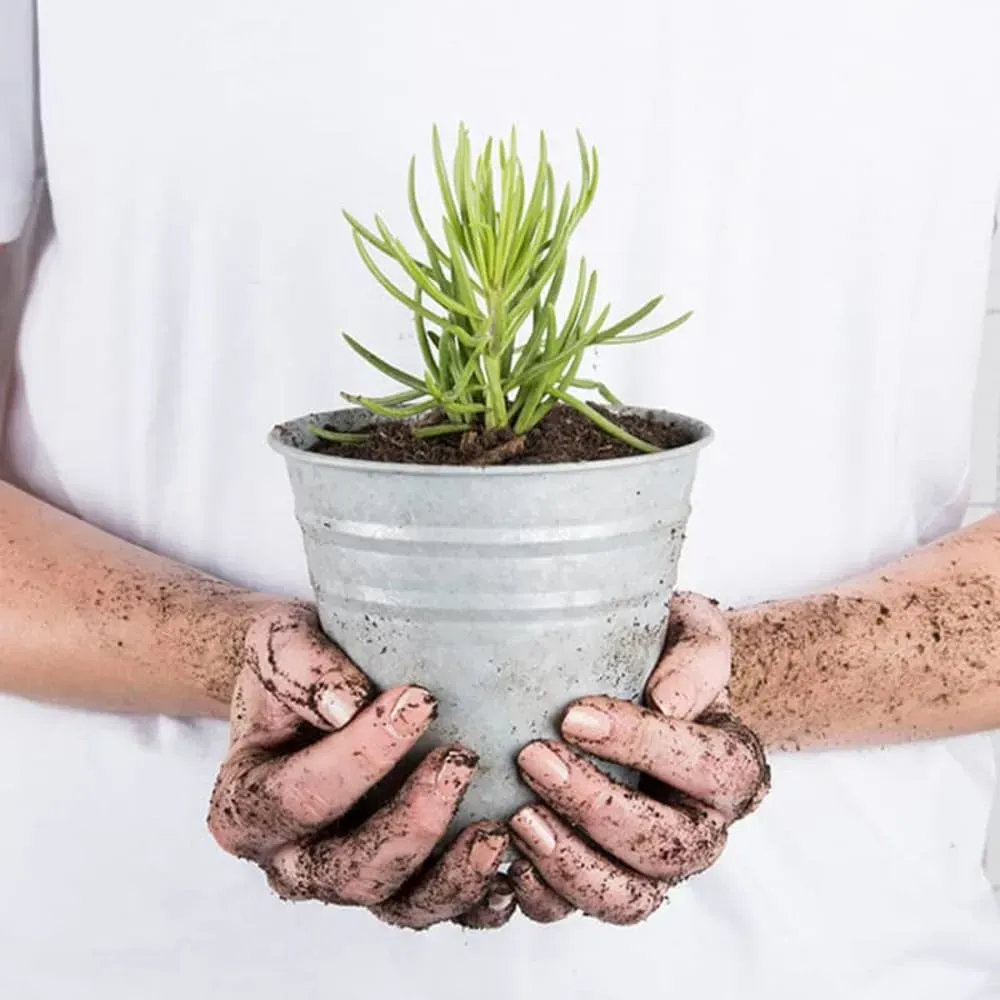 Illustration numéro 2 du produit Pot fleurs zinc 13 cm gris