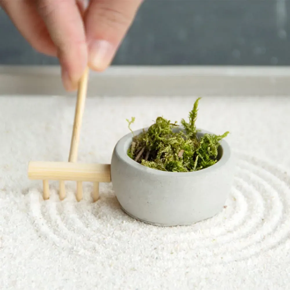 Illustration numéro 2 du produit Jardin zen rectangulaire 30 x 22 cm béton gris