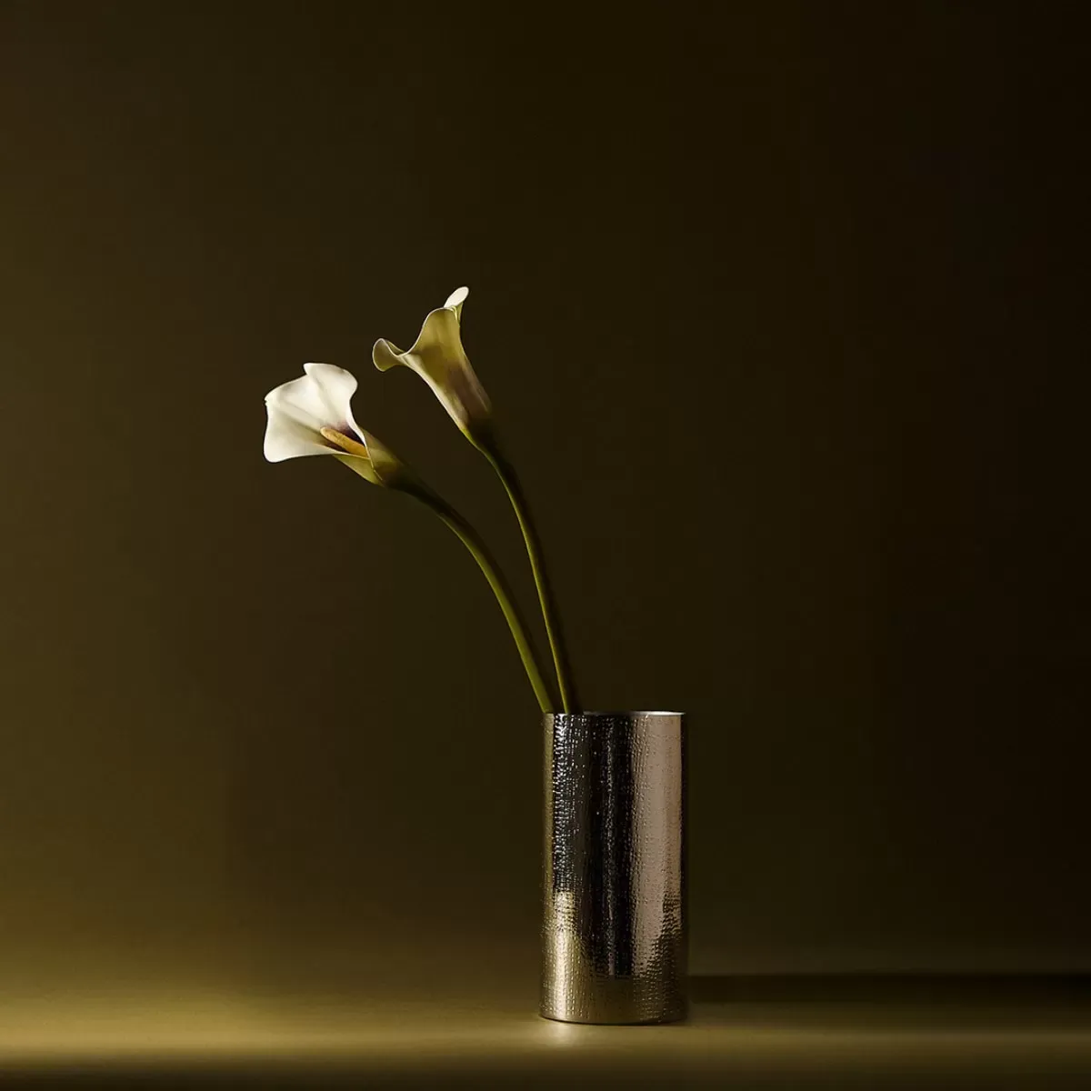 Illustration numéro 2 du produit Vase décoratif en fer argenté H20