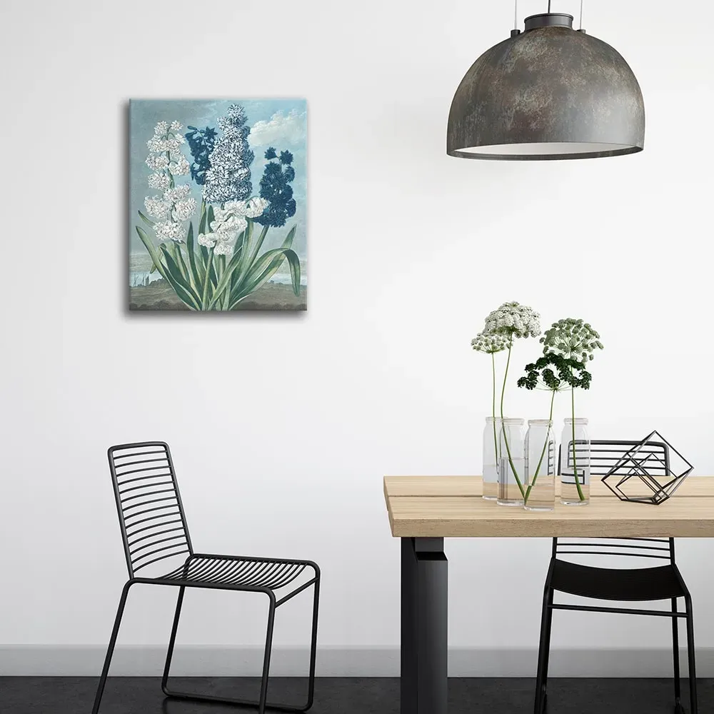 Illustration numéro 2 du produit Tableau - Jacinthes - Thomas Warner 60x80cm