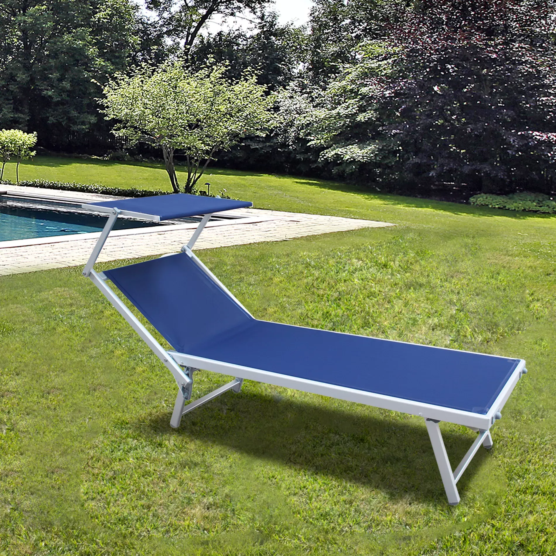 Illustration numéro 2 du produit Bain de soleil avec toit bleu