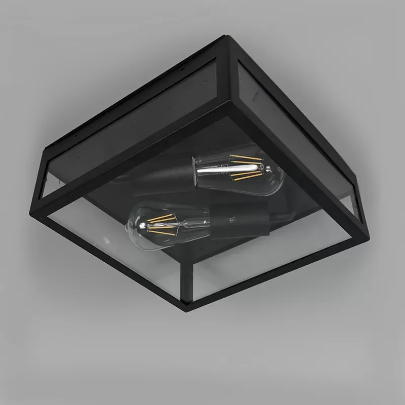 Illustration numéro 2 du produit Plafonnier extérieur en acier inoxydable noir