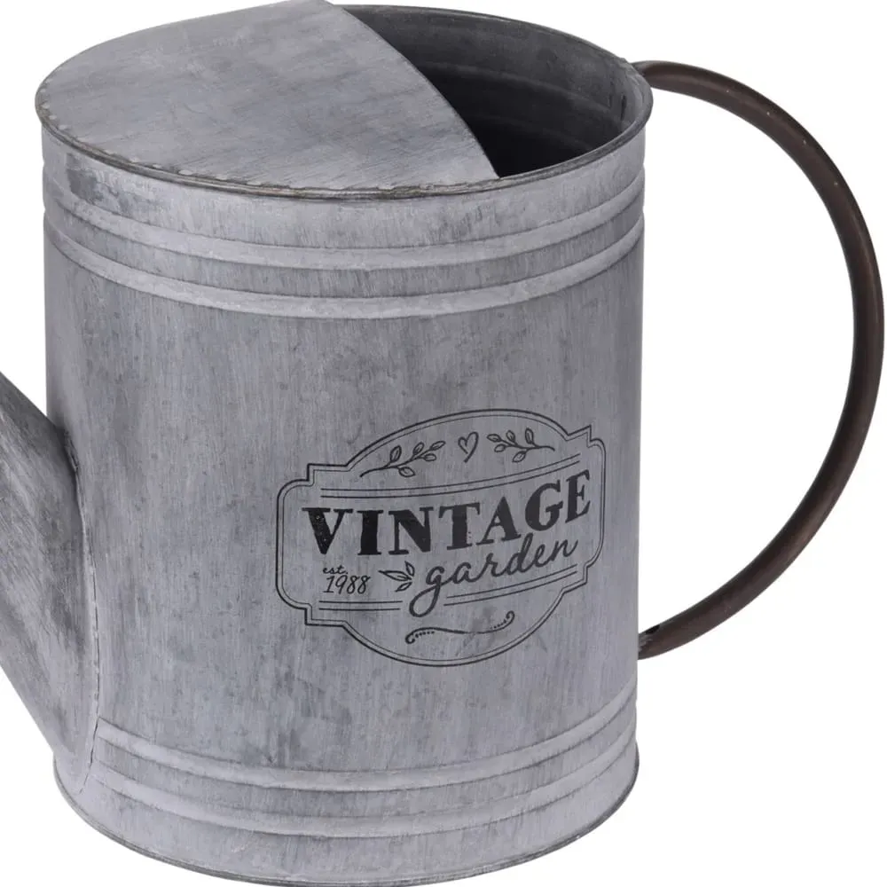 Illustration numéro 2 du produit Arrosoir en zinc déco