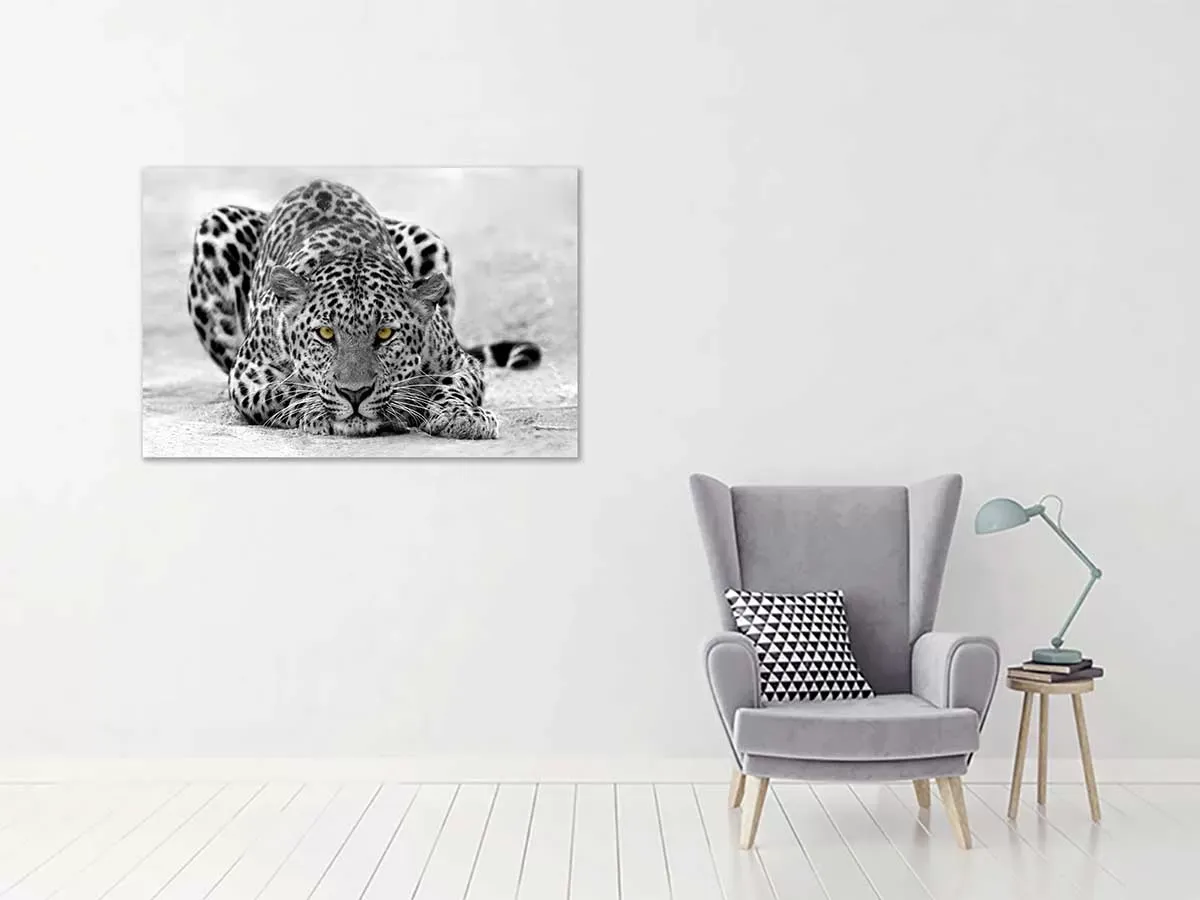 Illustration numéro 2 du produit Tableau leopard noir et blanc toile imprimée 120x80 cm