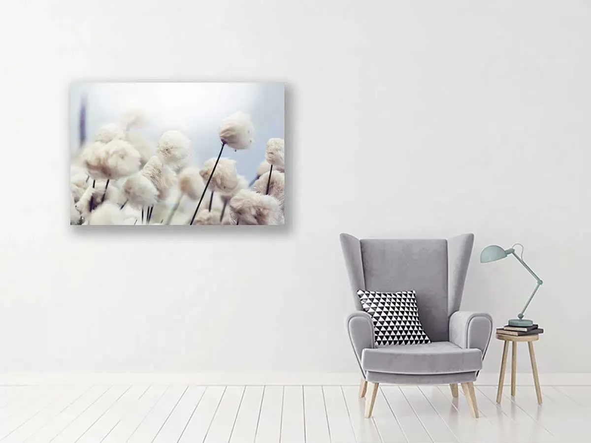 Illustration numéro 2 du produit Tableau fleurs de coton au vent toile imprimée 120x80 cm