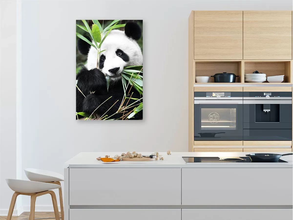 Illustration numéro 2 du produit Tableau regard de panda imprimé sur toile 80x120 cm