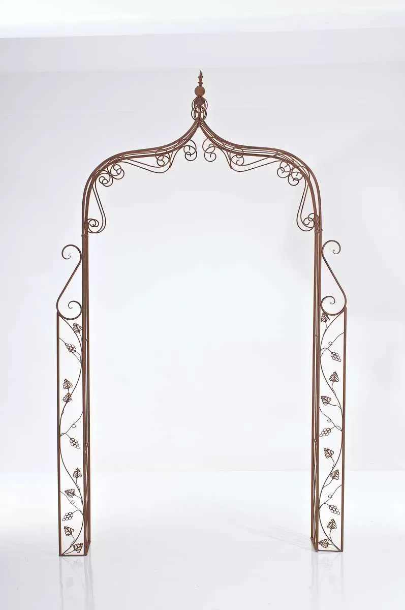 Illustration numéro 2 du produit Arche pour plantes grimpantes en métal Marron antique