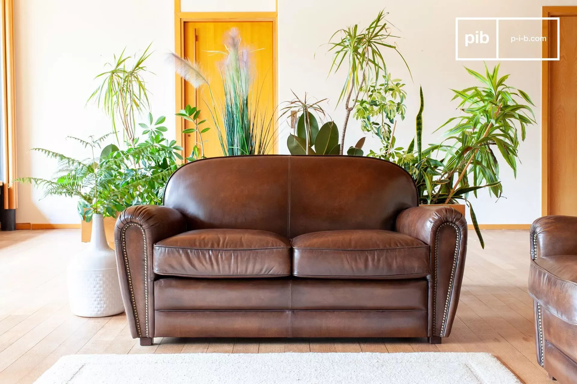 Illustration numéro 2 du produit Canapé 2 places en cuir pleine fleur marron