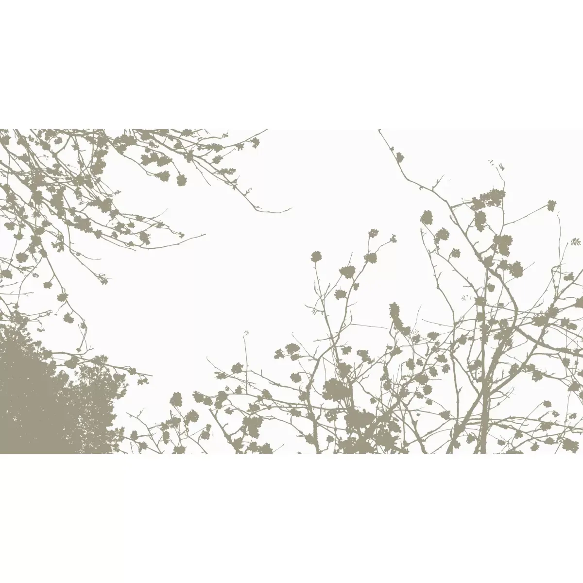 Illustration numéro 2 du produit Papier peint panoramique entre les branches gris 300x250cm