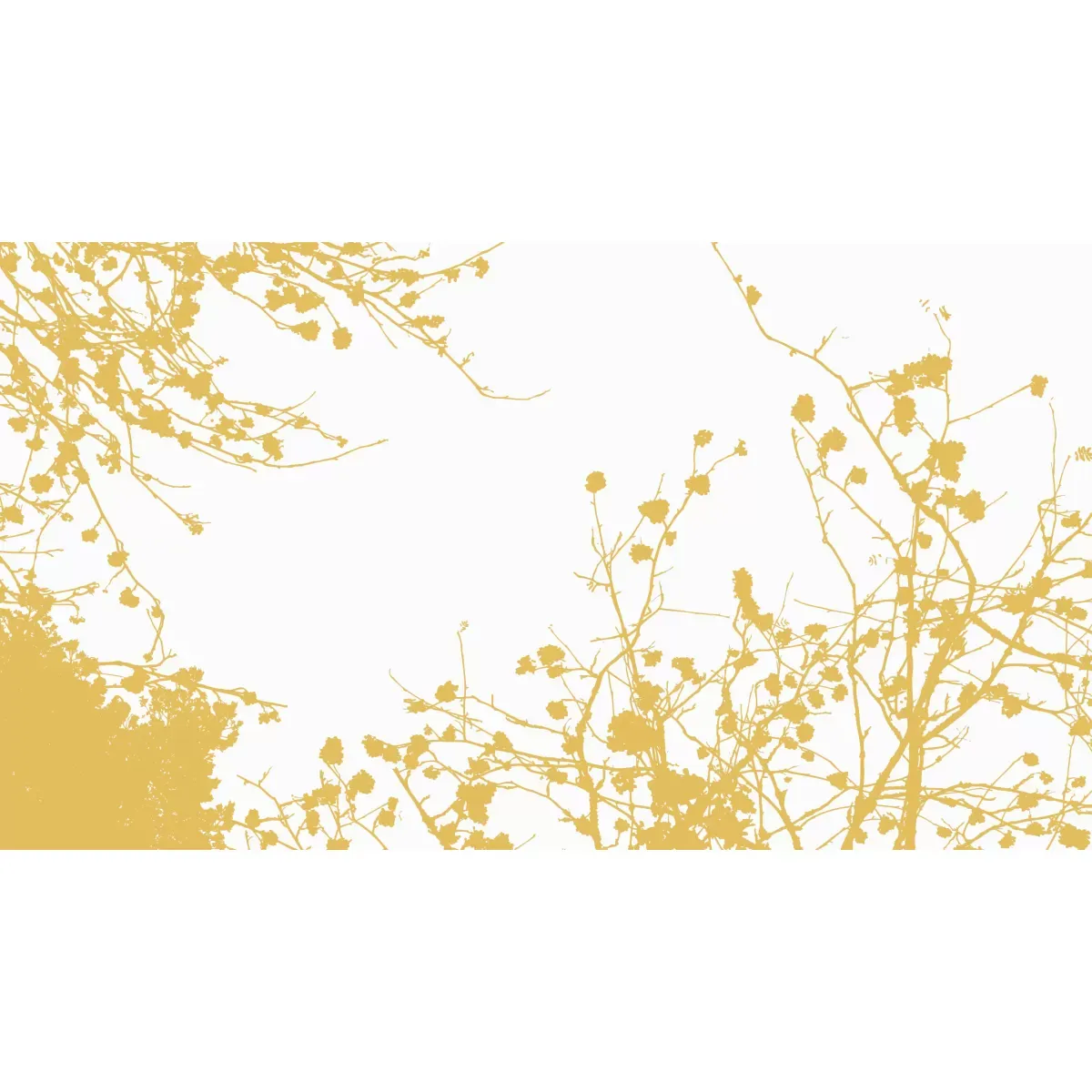 Illustration numéro 2 du produit Papier peint panoramique entre les branches jaune 300x250cm