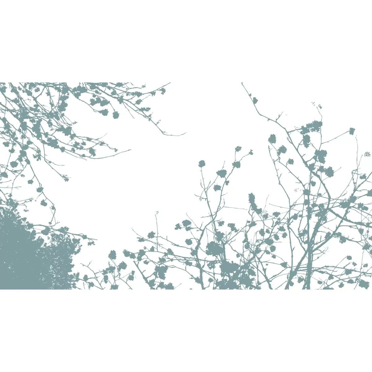 Illustration numéro 2 du produit Papier peint panoramique entre les branches bleu 375x250cm