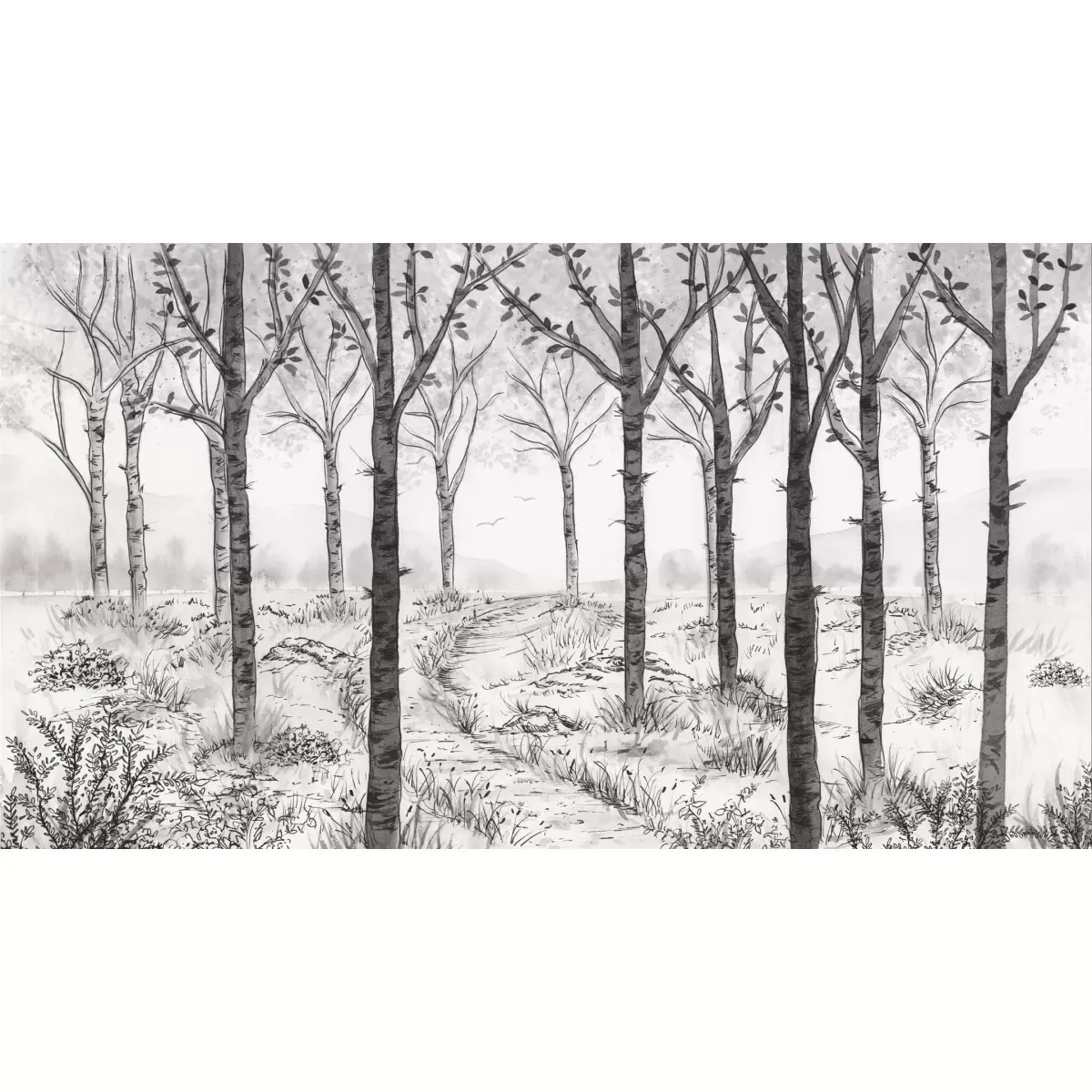 Illustration numéro 2 du produit Papier peint panoramique paysage forêt de bouleau noir et blanc 375x25