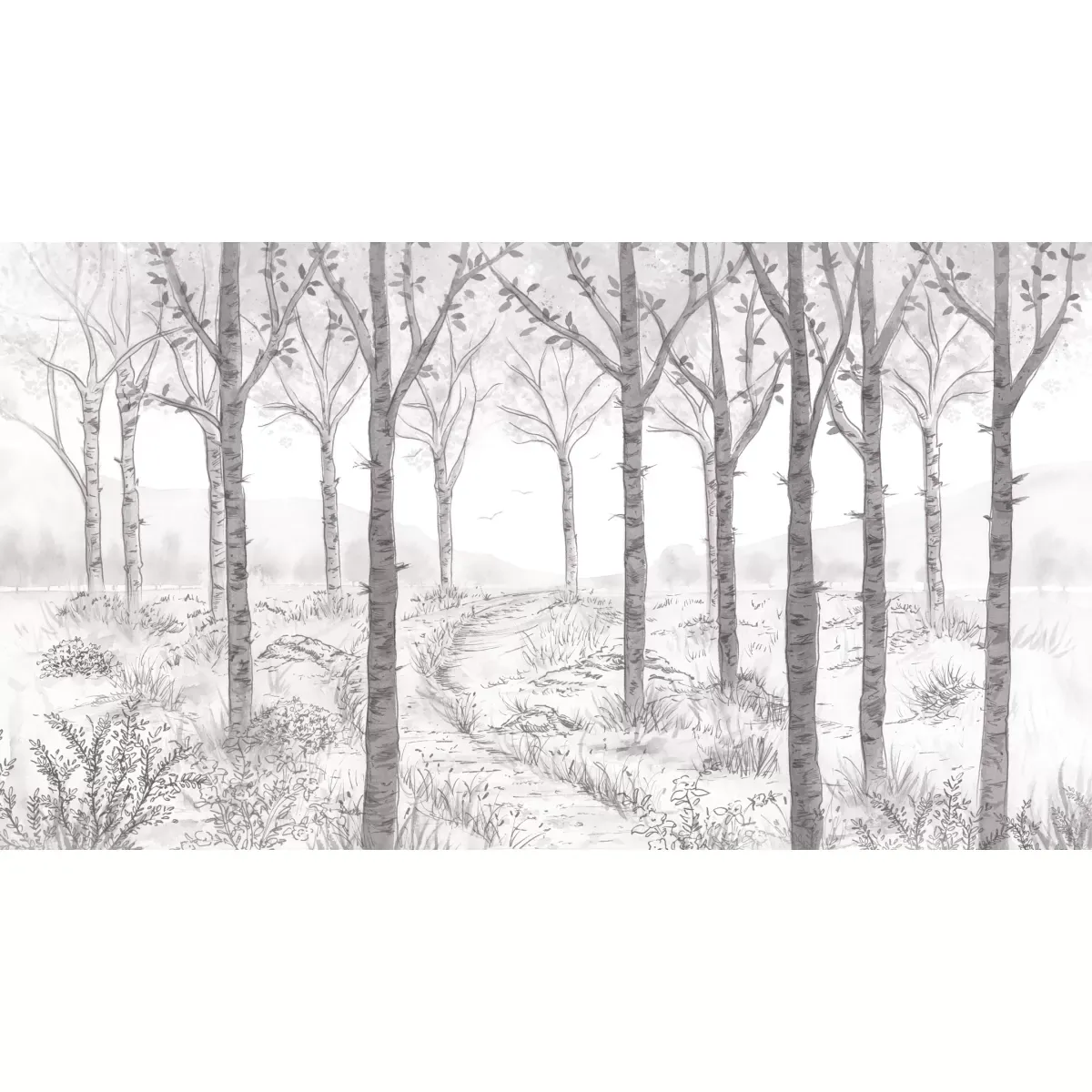Illustration numéro 2 du produit Papier peint panoramique paysage forêt de bouleau gris 300x250cm