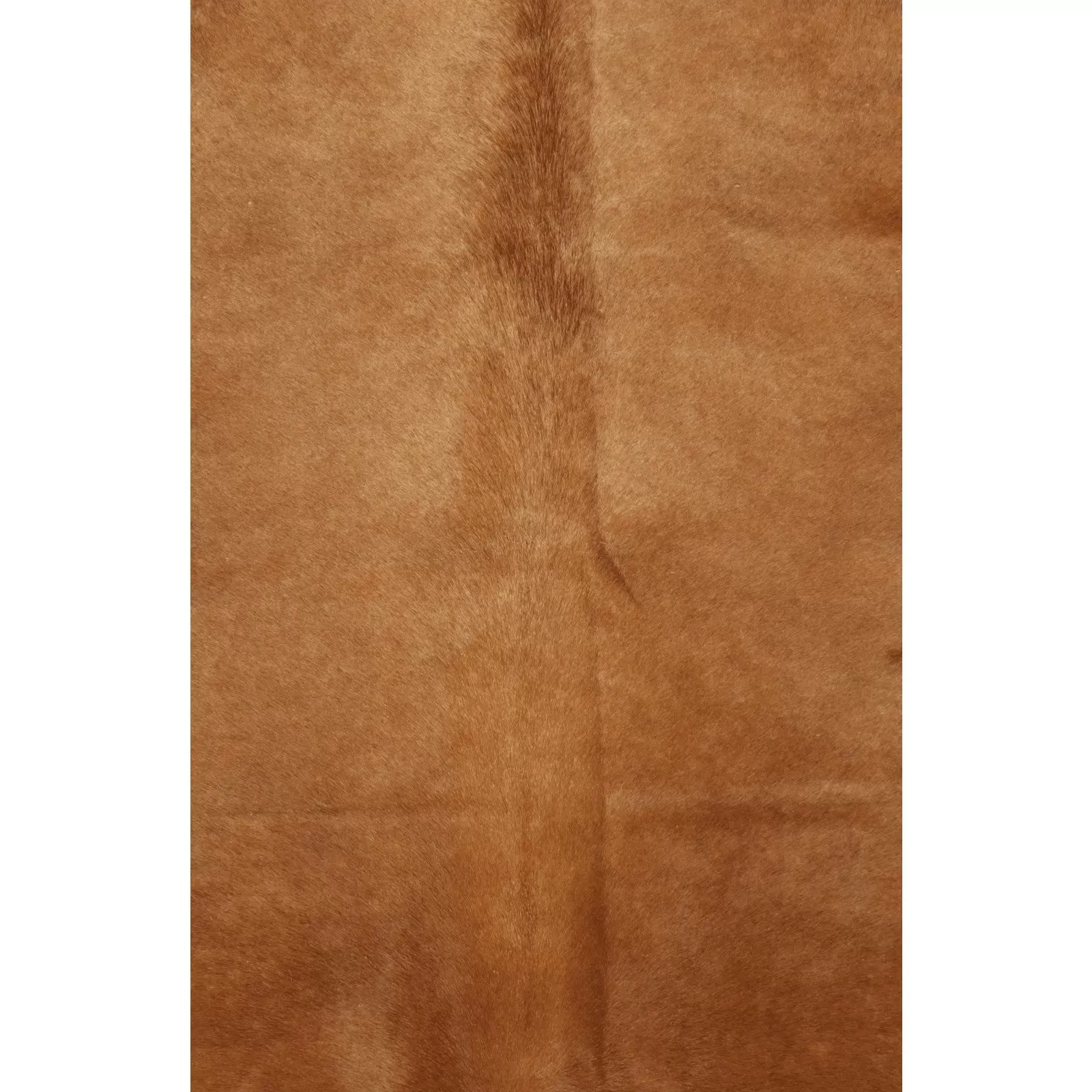 Illustration numéro 2 du produit Tapis peau naturelle Cuir Marron