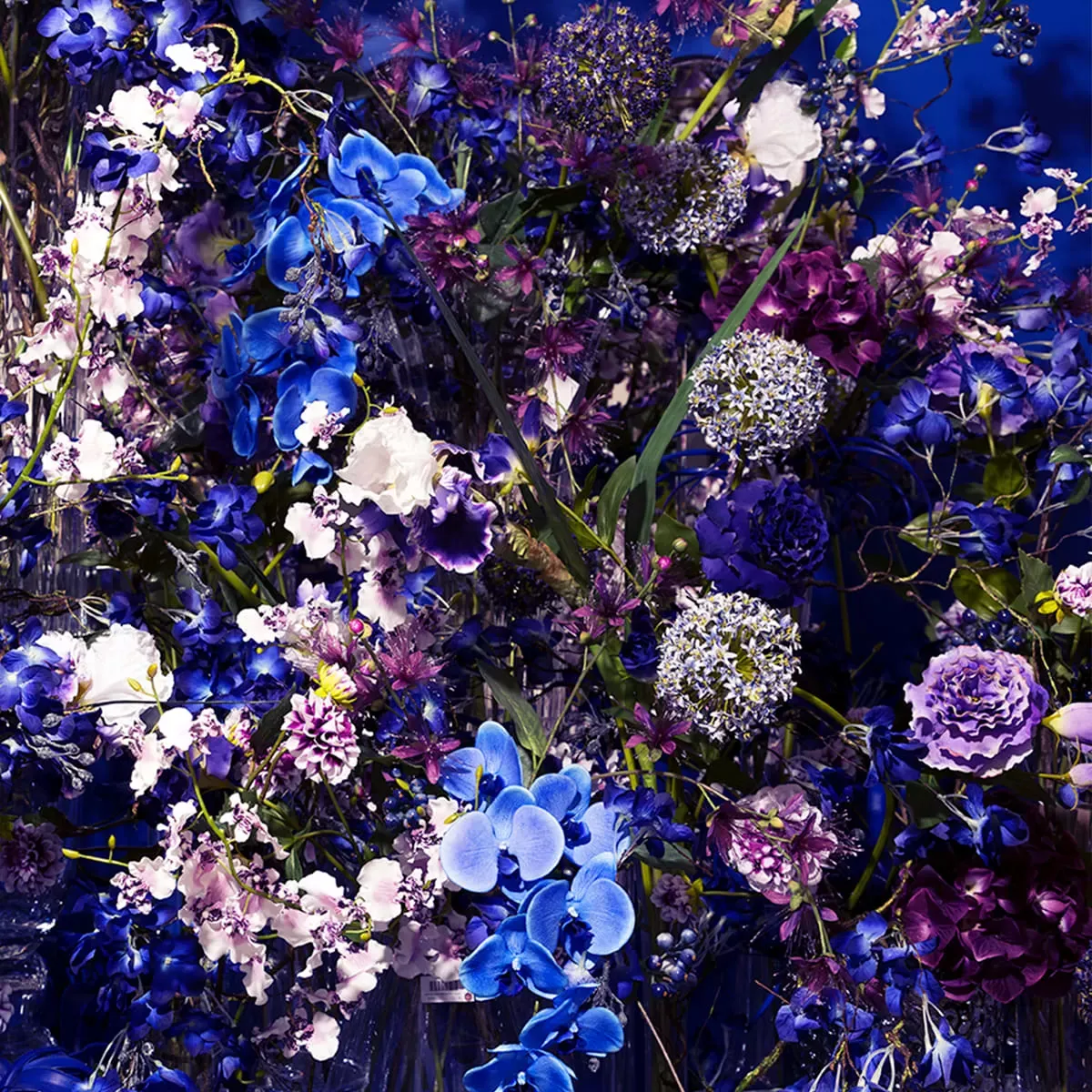 Illustration numéro 2 du produit Tige d'orchidée oncidium artificielle violette H140