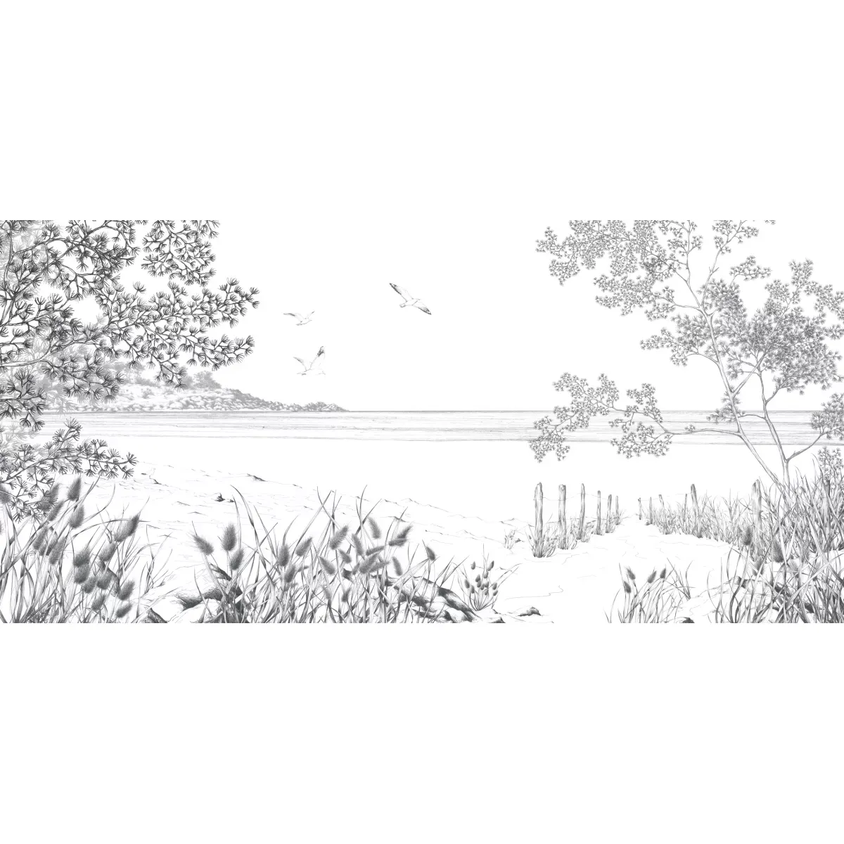 Illustration numéro 2 du produit Papier peint panoramique côtes sauvages noir et blanc 525x250cm