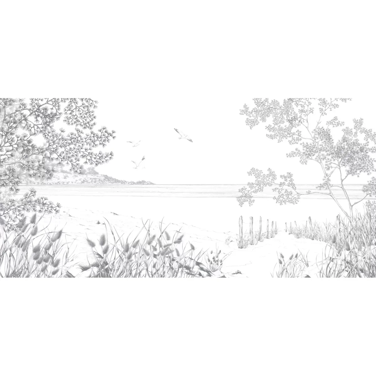 Illustration numéro 2 du produit Papier peint panoramique côtes sauvages gris 525x250cm
