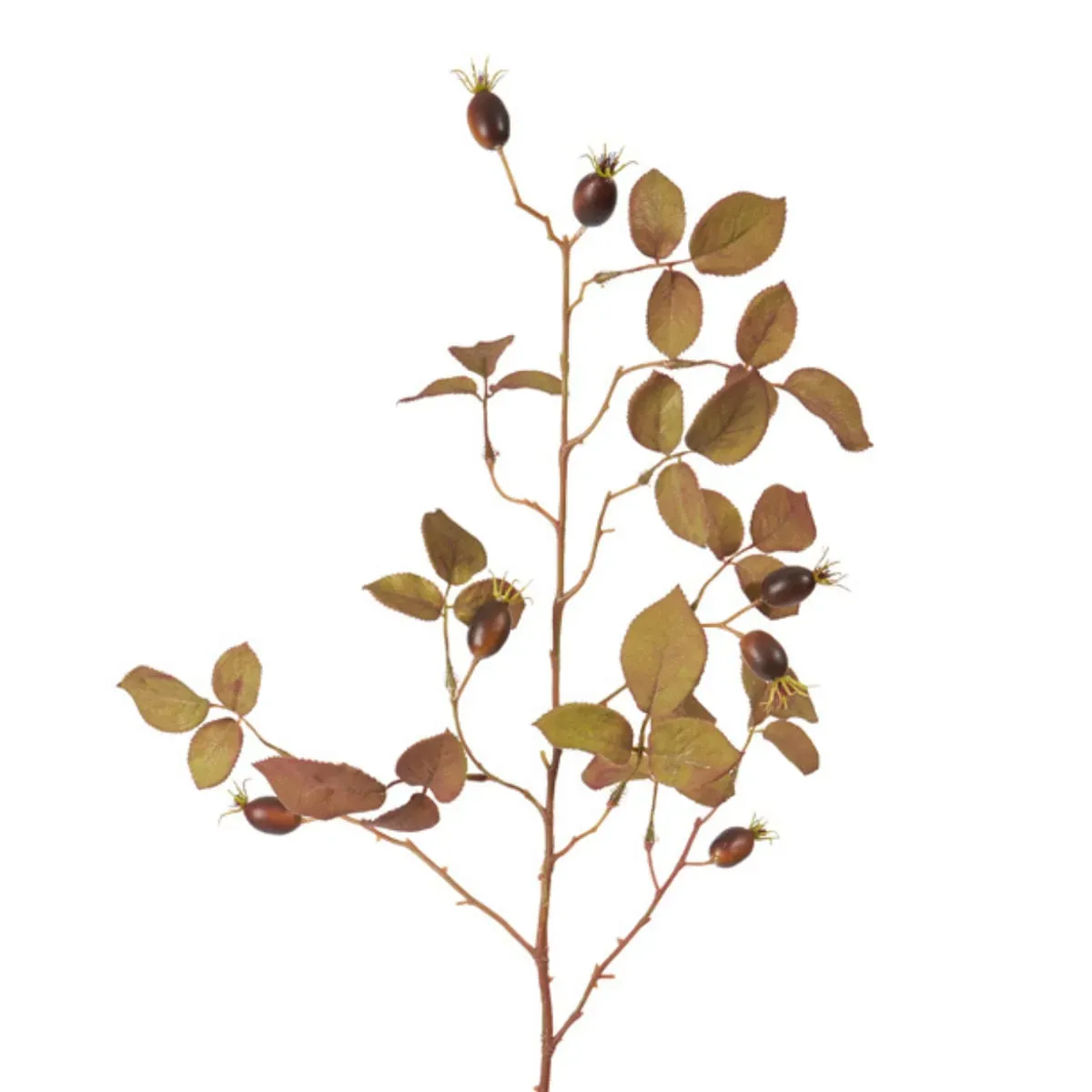 Illustration numéro 2 du produit Feuillage d'églantier artificiel marron et vert H100