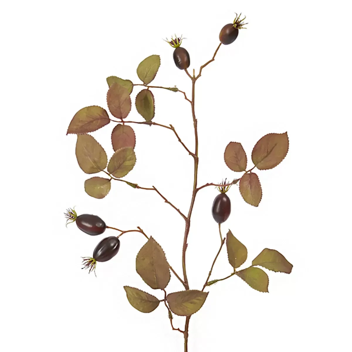 Illustration numéro 2 du produit Feuillage d'églantier artificiel marron et vert H66