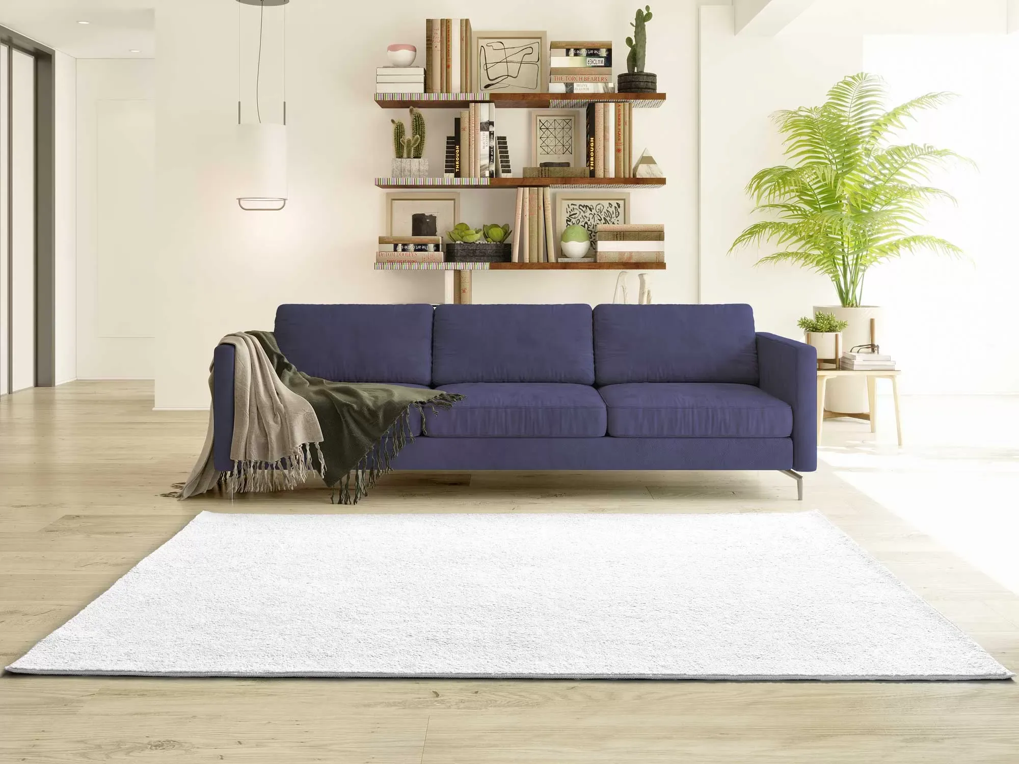 Illustration numéro 2 du produit Tapis lavable blanc 80x150 cm